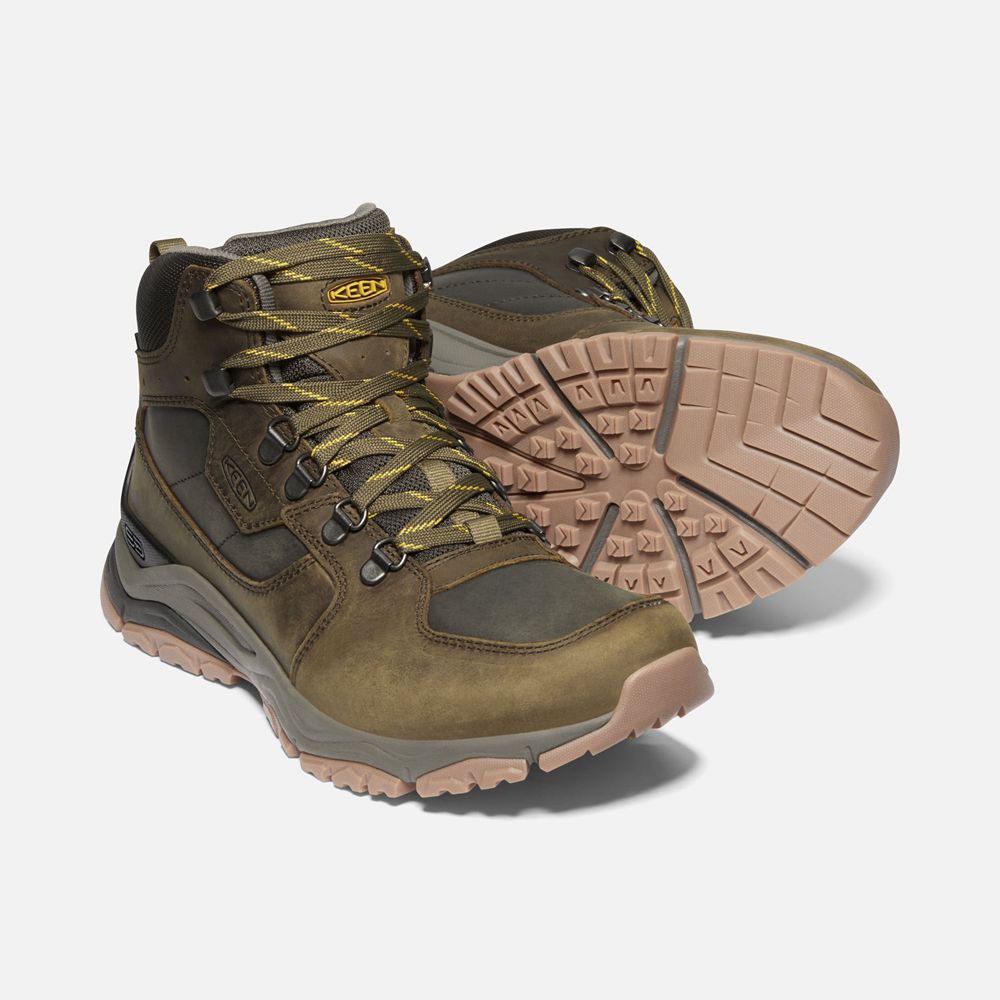 Keen Vandringskängor Herr Olivgröna - Innate Läder Waterproof - 093568SIK